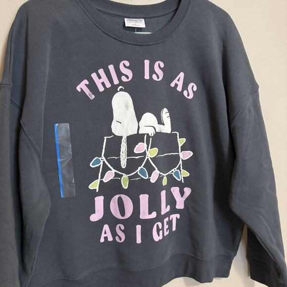 Grayson Threads Peanuts Holiday Sweatshirt, Dark Grey, NEW W TAGS ~ Large - Picture 2 of 8